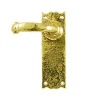 Style Brass Bathroom Door Handles 152x47mm 2451