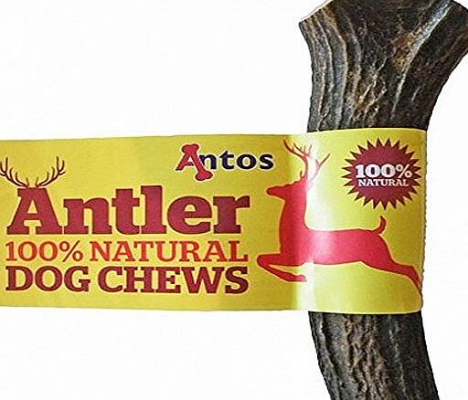 Antos Limited Antos Antler Natural Dog Chew (Size: Medium)