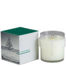 Apothia Chrismukkah Candle 250g