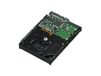 hard drive - 1 TB - SATA-300