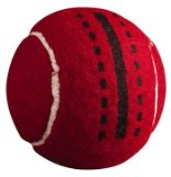 Aqua Sphere SLAZENGER Slazball Cricket Ball