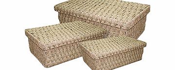 Arboreta Lidded Seagrass Storage Baskets Set of 3