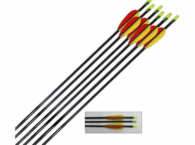 Archery World Archery Fibreglass Arrows set of 6x28``
