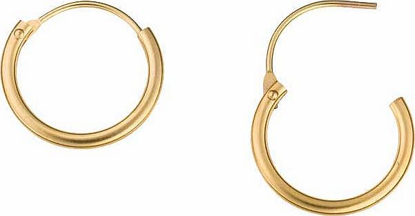 9ct Gold Hinged Hoop Earrings