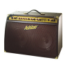 Ashton Music AEA60 ACOUSTIC GUITAR AMP - 60W