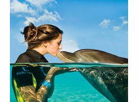 Dolphin Encounter at Dolphin Bay - Mid
