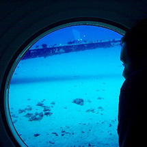 Atlantis Submarine Excursion, Oahu - Adult