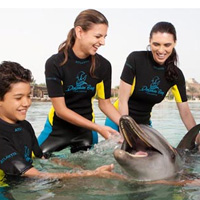 Atlantis The Palm Resort - Dolphin Experiences Deep Water Dolphin Adventure