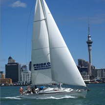 Auckland Harbour Sailing Cruise - Adult