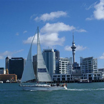 Auckland Harbour Sailing Dinner Cruise - Adult