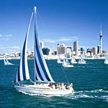 Auckland Harbour Sailing Lunch Cruise - Adult