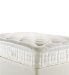 Divan On Legs & Autograph M500 Mattress - Firm