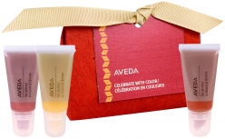 Aveda CELEBRATE WITH COLOUR GIFT SET (3 PRODUCTS)