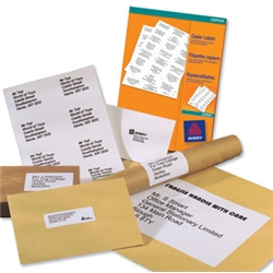 Avery White Copier Labels 105x37mm Ref DPS16-100