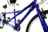 2008 Reflex Timberline Adult Tandem Mountain Bike