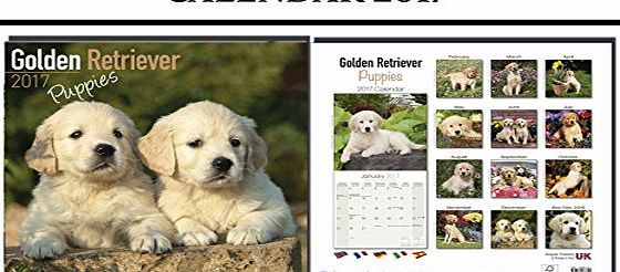 AVONSIDE GOLDEN RETRIEVER PUPPIES DOGS 2017 CALENDAR
