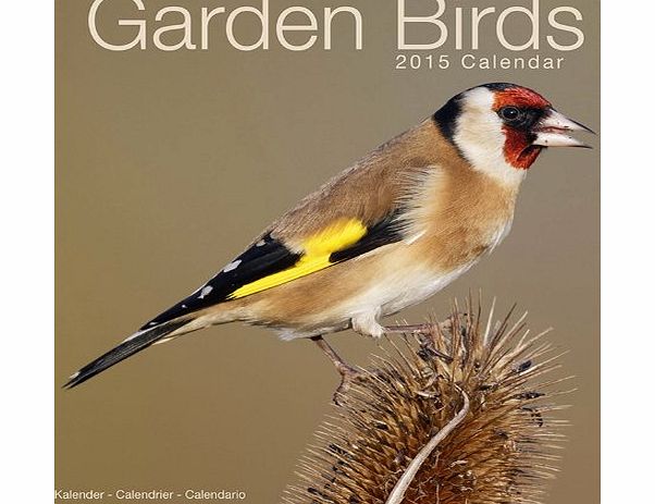 Avonside Publishing GARDEN BIRDS 2015 Wall Calendar