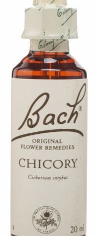 Bach Chicory