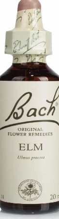Bach Elm