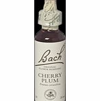 Bach Flower Cherry Plum Flower Remedy - 20ml