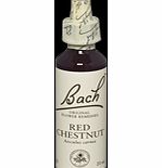 Bach Flower Red Chestnut Flower Remedy - 20ml