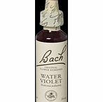 Bach Flower Water Violet Flower Remedy - 20ml