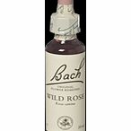 Bach Flower Wild Rose Flower Remedy - 20ml 089850