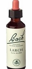 Bach Larch