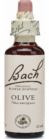 Bach Olive