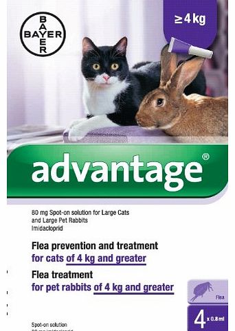 Bayer Advantage 80mg Spot-On Solution for Large Cats and Pet Rabbits (over 4kg)
