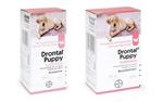 Bayer UK Drontal Puppy Worming Suspension (50ml)