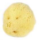 Beaming Baby Natural Sea Sponge