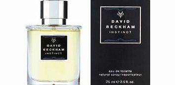 Beckham David Beckham Instinct Eau de Toilette