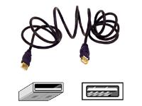 Belkin Gold Series USB Extension Cable (A/A) 1.8m