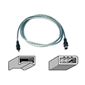 Belkin IEEE 1394 FireWire Cable (6 - pin / 4 -