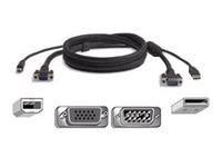 belkin OmniView All-In-One Pro Series Plus - video / USB cab