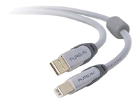 Belkin Pure AV Silver Series - video / audio cable - USB - 1