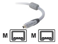 Belkin Pure AV Silver Series Digital Camcorder FireWire Cable - data cable - Firewire IEEE1394 (i.LINK) - 1