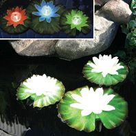 Bermuda Floating Solar Lilies