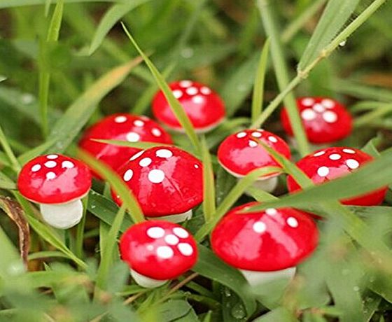 BESTIM INCUK Miniature Fairy Garden Mushroom Home Decoration Decor