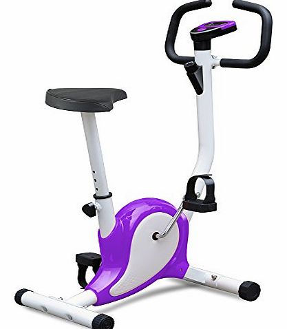 Gym Fitness Master Magnetic Exercise Bike Fitness Cardio Workout Adjustable Resistance Weight Loss Machine(Purple)
