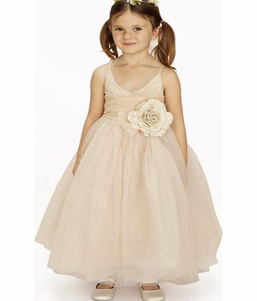 Bhs Lydia Champagne Bridesmaid Dress, champagne
