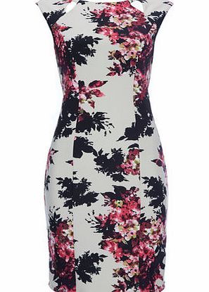 Bhs Womens Pink Scuba Floral Dress, pale pink