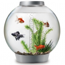 30Ltr Acrylic Fish Tank Aquarium Bowl