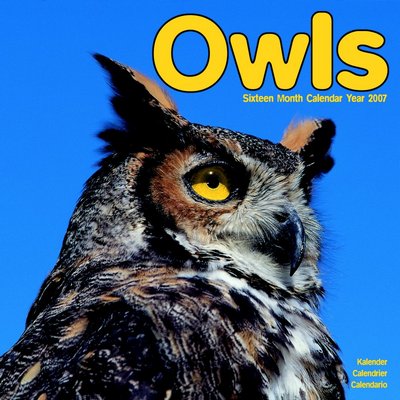 Bird Owls 2006 Calendar