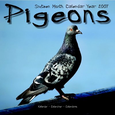 Bird Pidgeons 2006 Calendar