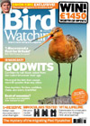 Bird Watching 6 issues to UK