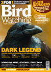 Bird Watching 6 Months Direct Debit   Exclusive