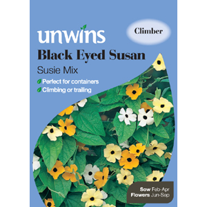 Eyed Susan Susie Seed Mix