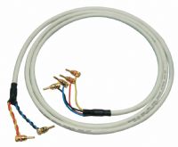 AST200x2 Bi-Wire Speaker Cable - 2 Metres- : 4 at one end 2 at the other